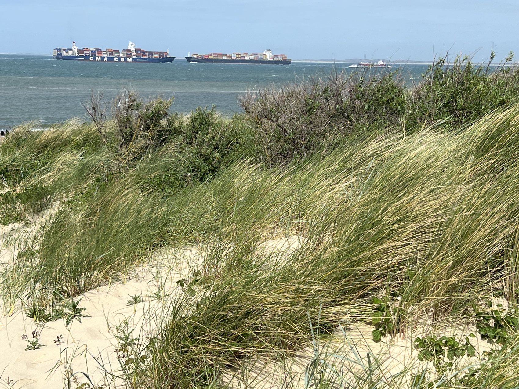 Dünen am Meer